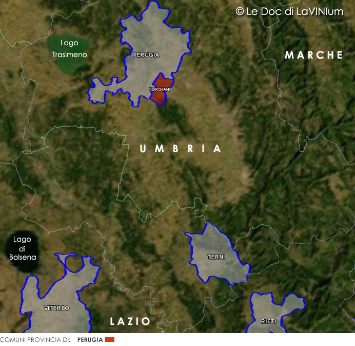 Le Doc dell'Umbria: Torgiano Rosso Riserva