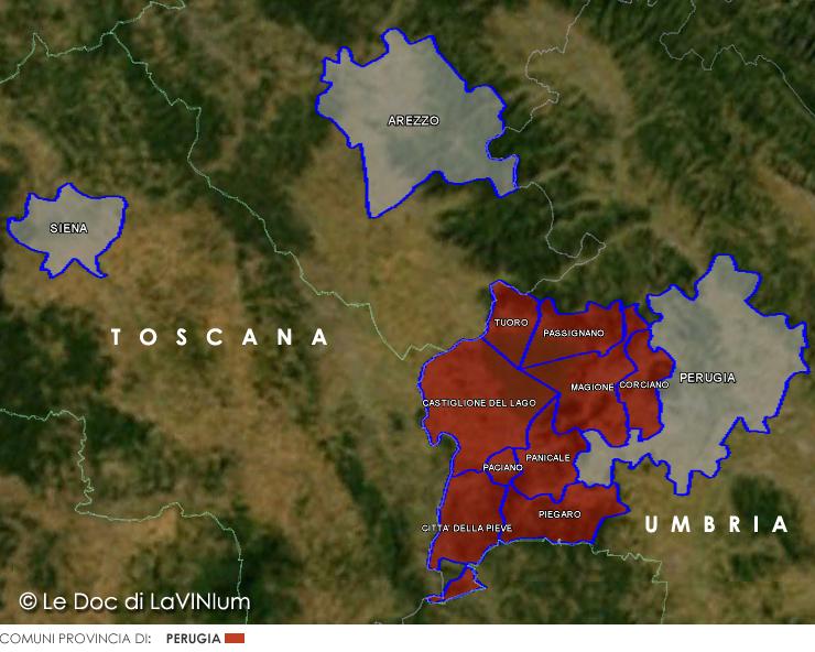 Le Doc dell'Umbria: Colli del Trasimeno