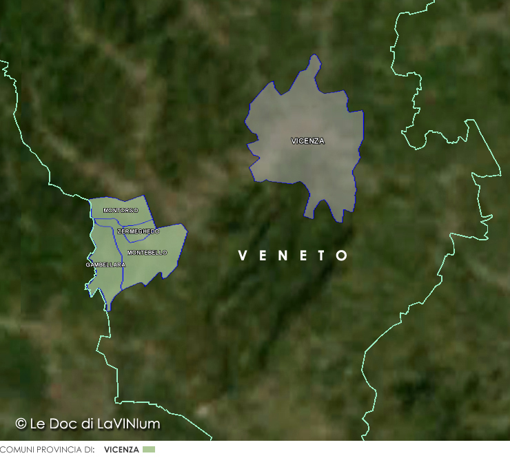 Le Doc del Veneto: Gambellara