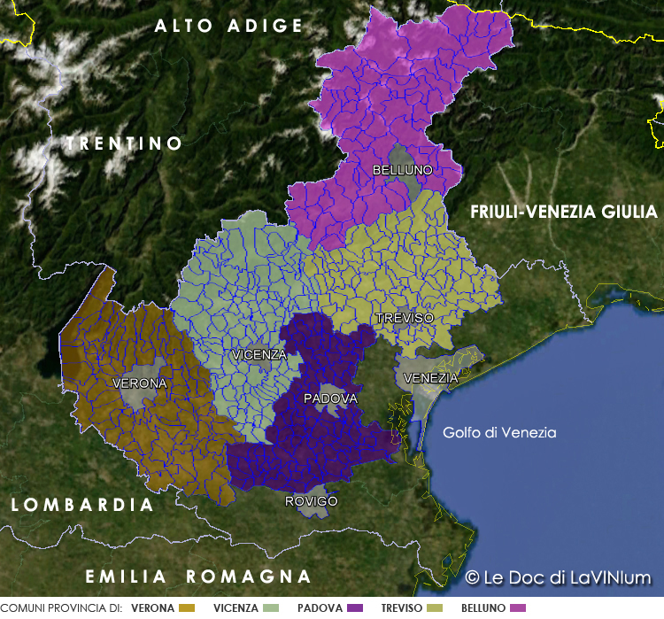 Le Doc del Veneto: Vigneti della Serenissima o Serenissima