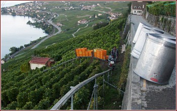Fratelli Dubois: il trenino