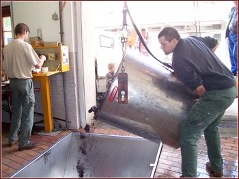 Fratelli Dubois: l'uva in cantina