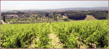 Panorama da Fèlsina