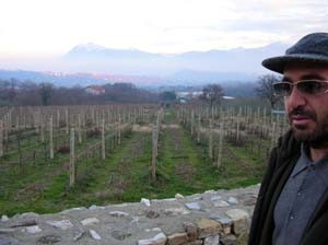 Marsella di fronte alla vigna