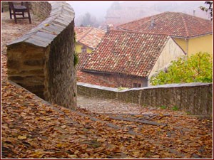 Particolare di Castiglione Falletto - Foto Fiji