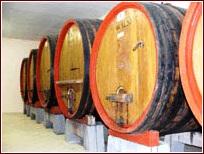 Botti grandi in rovere di Slavonia