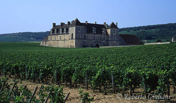 Chateau Clos de Vougeot