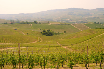 Cavallotto Bricco Boschis