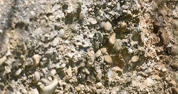 Particolare del terreno collinare