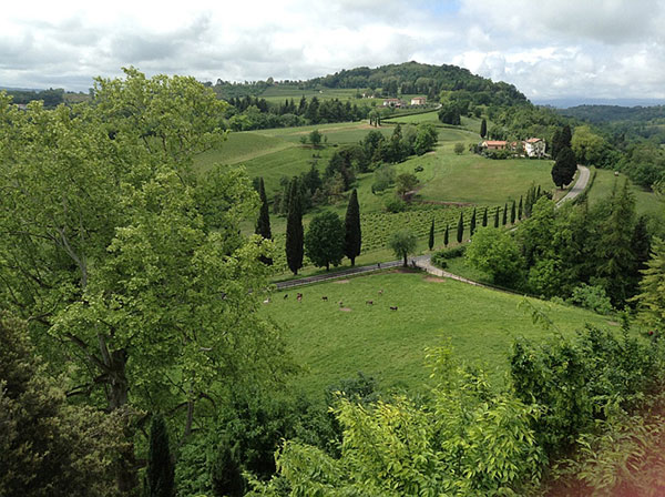 Veduta dal Castello di Susegana