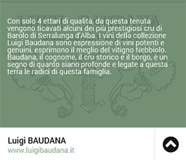 Luigi Baudana