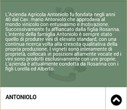 Antoniolo