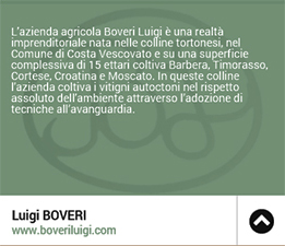 Luigi Boveri
