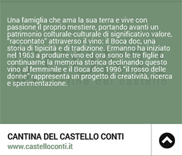 Cantina del Castello Conti