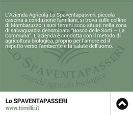 Lo Spaventapasseri