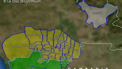 Mappa vino doc Aversa
