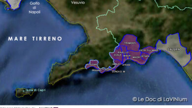 mappa vino doc Costa d'Amalfi
