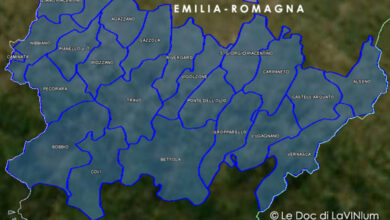 Cartina vino doc Ortrugo