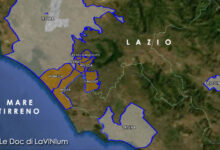 cartina vino doc Colli Albani