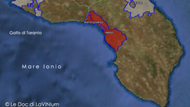 Mappa vino doc Nardò