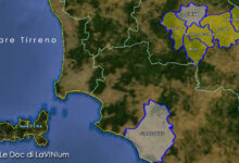 cartina vino doc Grance Senesi