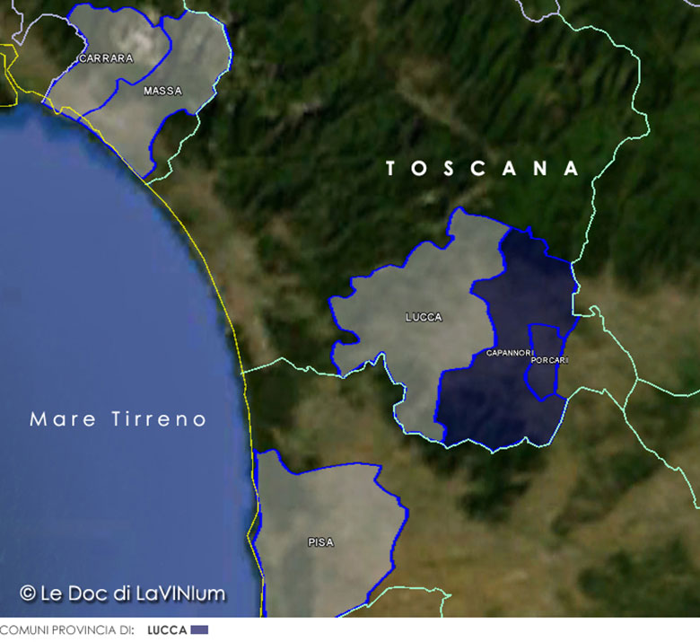 Mappa vino doc Colline Lucchesi