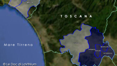 cartina vino doc Montecarlo