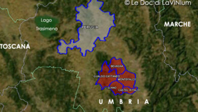 mappa vino docg montefalco sagrantino