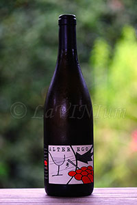 Alter Ego 2014 Andre Occhipinti