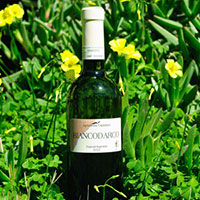 Frascati Superiore Biancodarco 2011