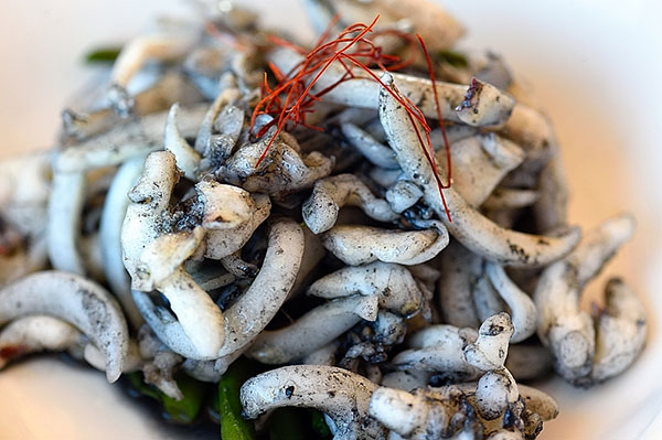 Seppia con fagiolini croccanti