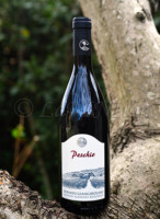 20160324114433_peschio-2010-giangirolami