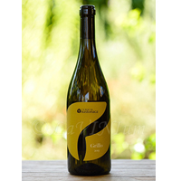 20160705110855_grillo-2015-art