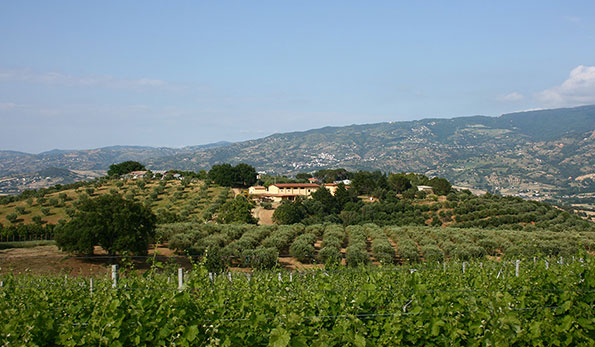 Azienda Terre Nobili