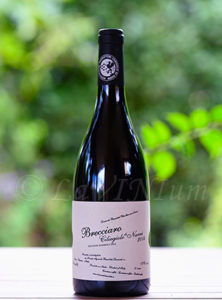 bussoletti-brecciaro-2014-art