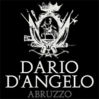 logo Dario D'Angelo