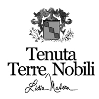 logo_terrenobili
