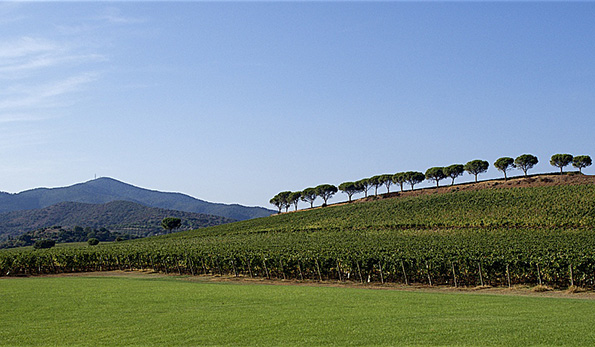 Maremma Toscana