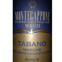 tabano_bianco_2014