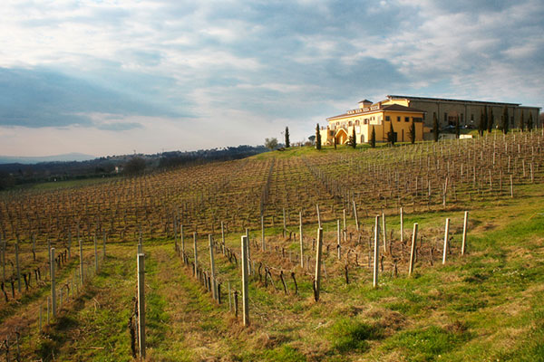 Tenuta Santa Lucia
