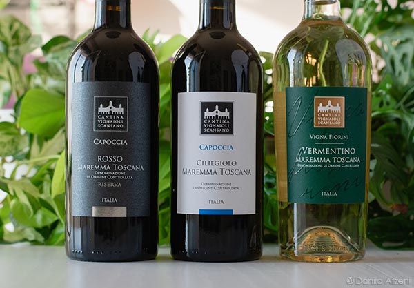 Cantina Vignaioli Scansano vini