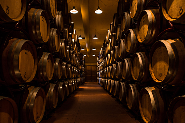 Barricaia vinicola Cecchi