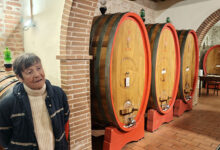 Dora Forsoni in cantina