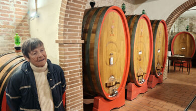 Dora Forsoni in cantina