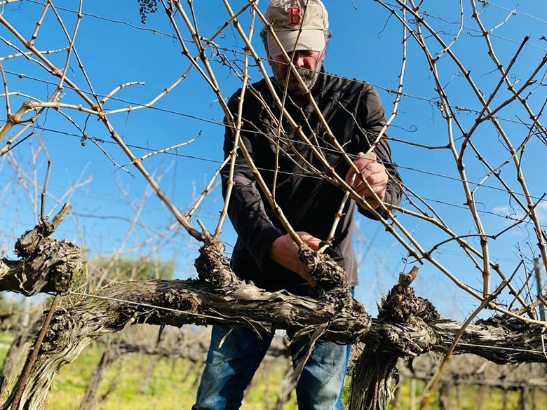Azienda Fornacelle, potatura