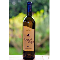 Sogno di Volpe Bombino Bianco 2012 Cantina Ariano