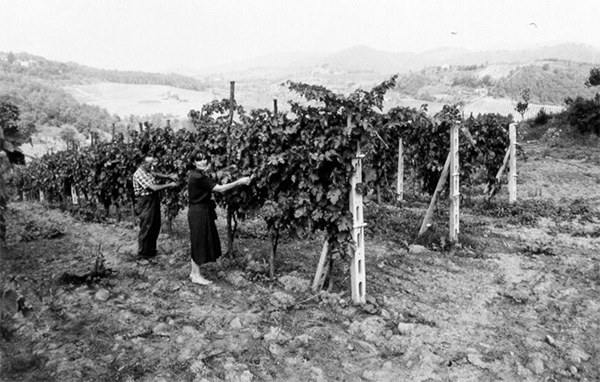 Castello di Querceto