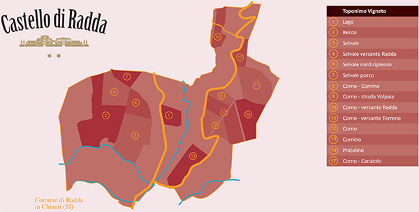 I toponimi dei vigneti