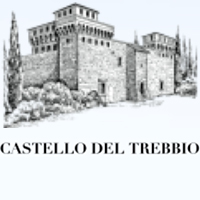 logo Castello del Trebbio