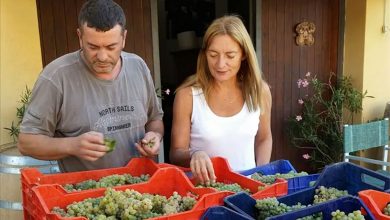 Stefano Billi e Silvia Menicagli